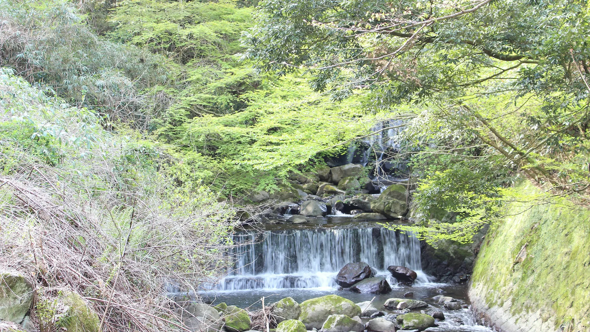 Hakone Guesthouse Toi
