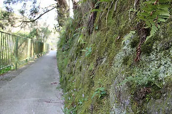Hakone Pensión toi