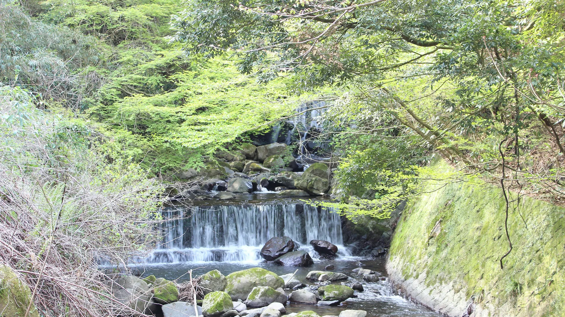 Hakone Pensión toi 0*,  Japón